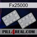 Fx25000 17